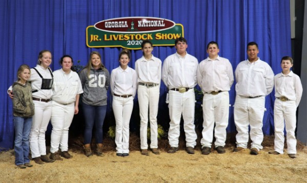 Livestock Show Team